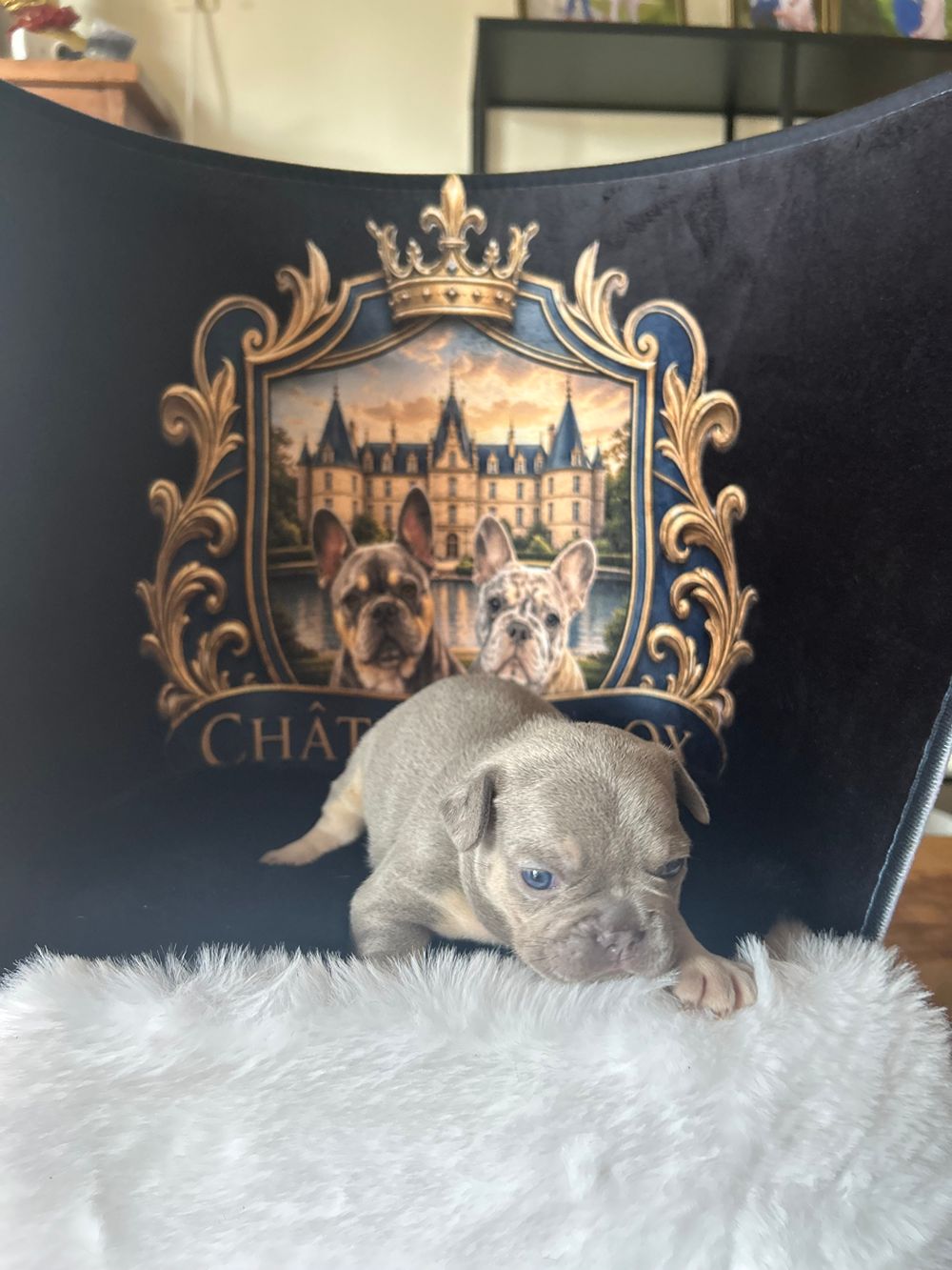 Puppy Groen